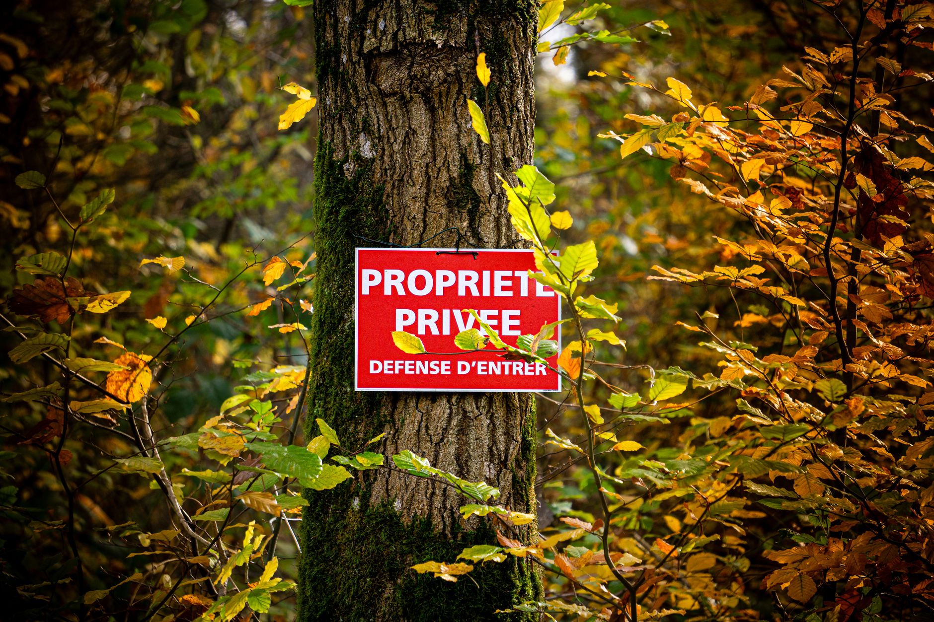 Détective privé à Villeneuve-d'Ascq